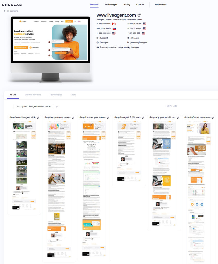 Website Screenshots Audit